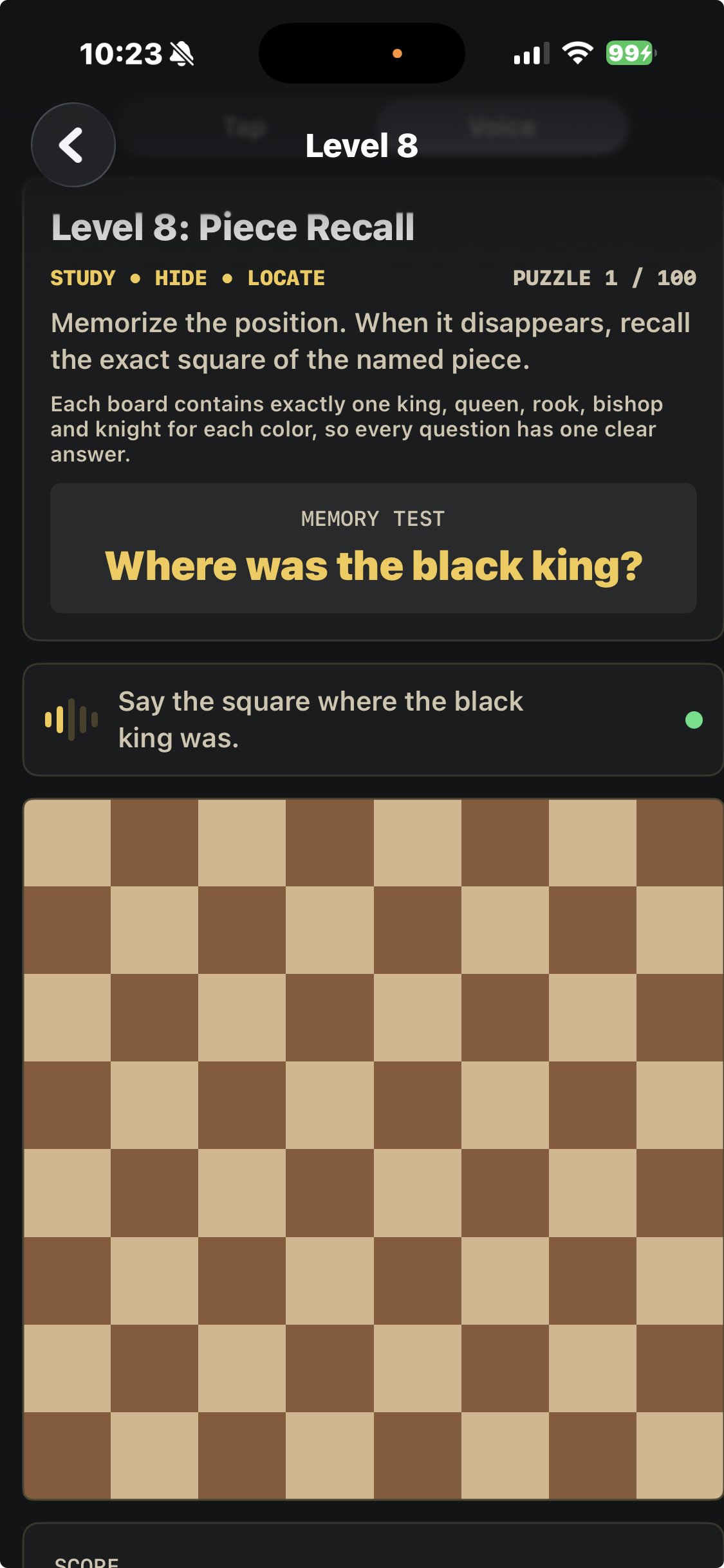 With the pieces hidden, say the square where the black king was.
