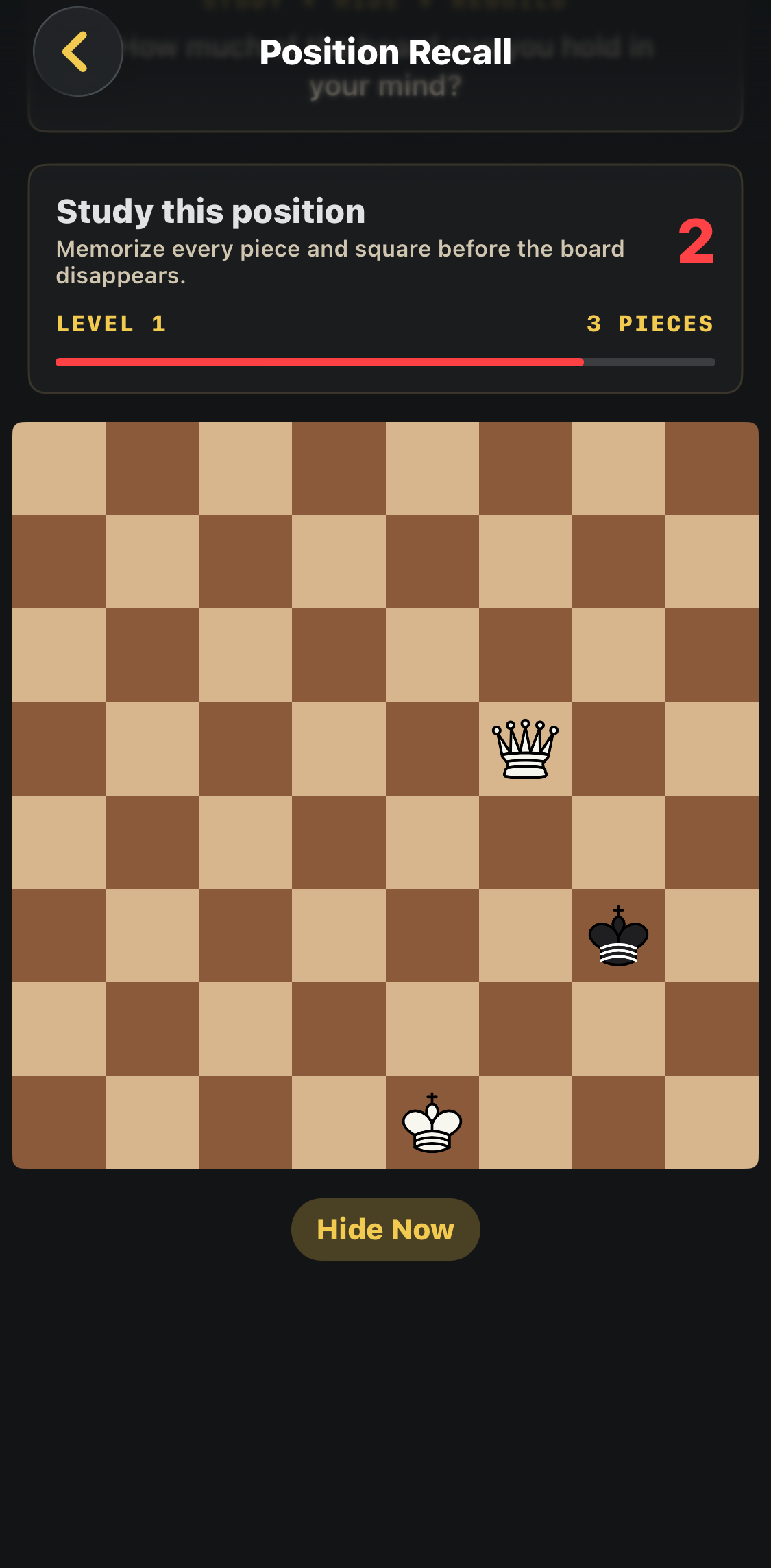 A three-piece Position Recall exercise before the pieces hide.