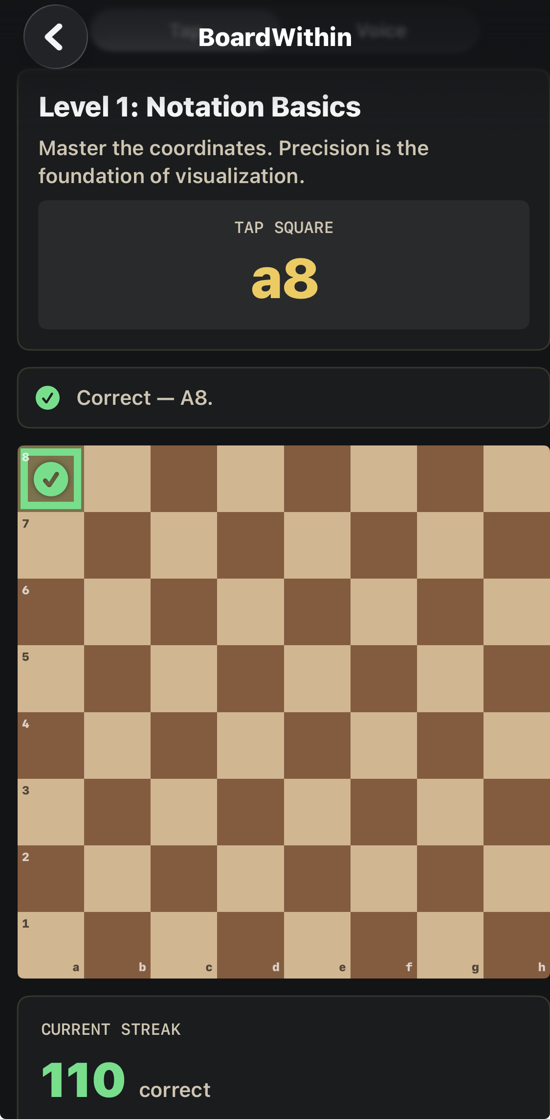 Level 1: a8 is correctly identified on the labeled board from White’s perspective.