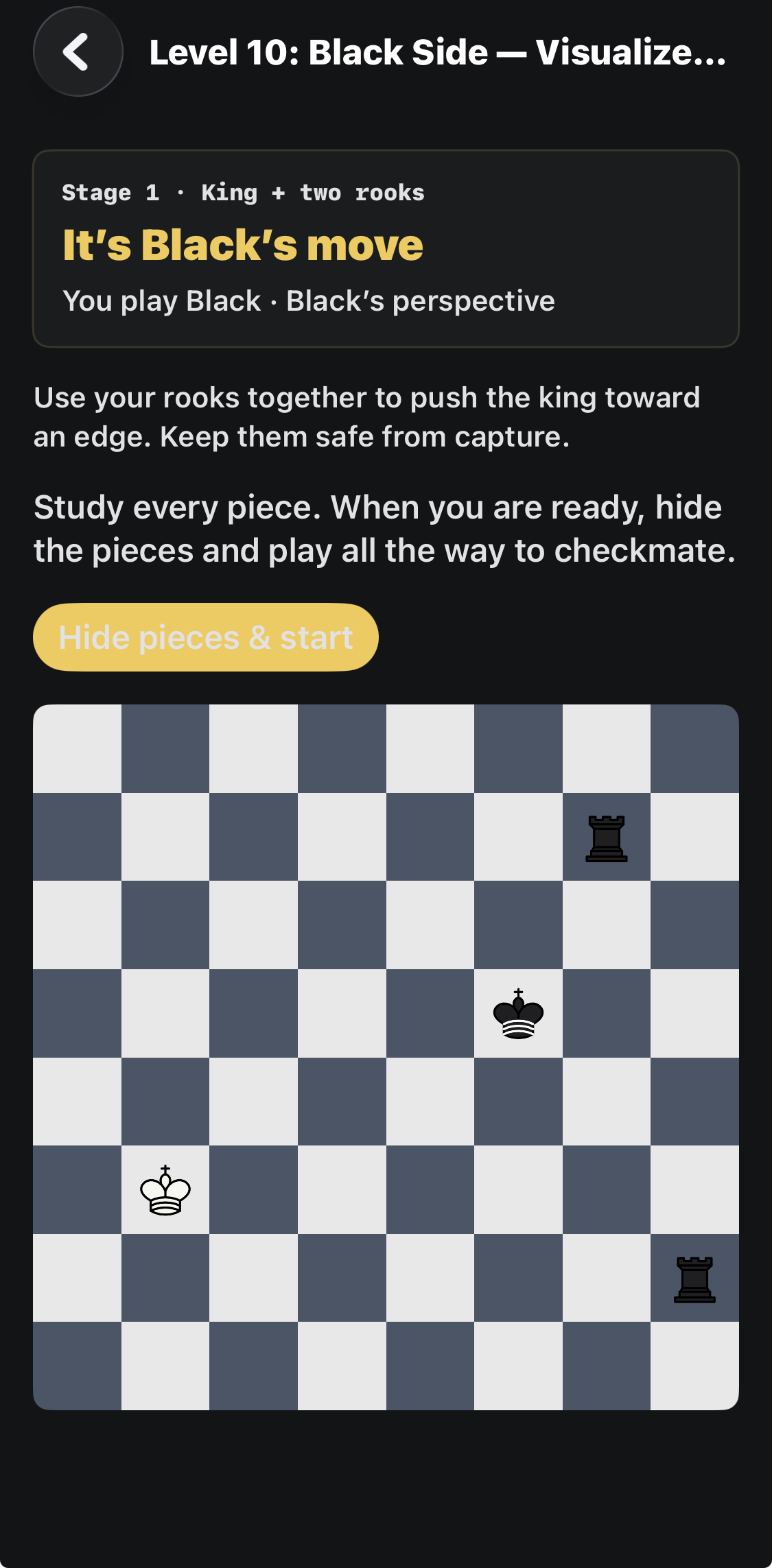 Level 10: study a two-rook ending as Black, with Black at the bottom.